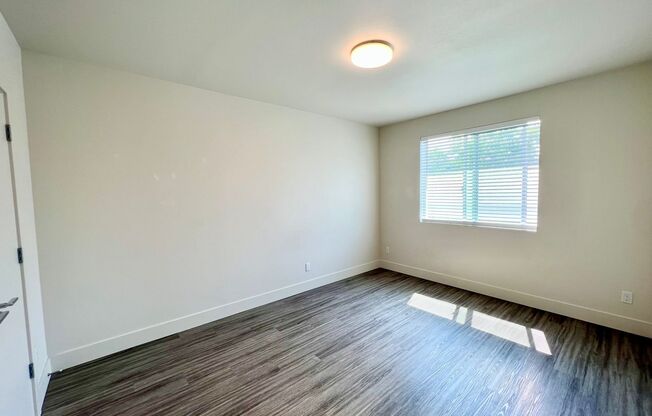 1 bed, 1 bath, 533 sqft, $1,350, Unit 302