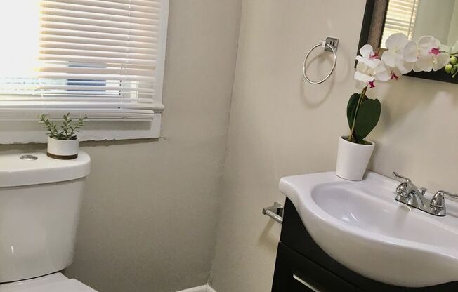 3 Bedroom House! Coming soon!