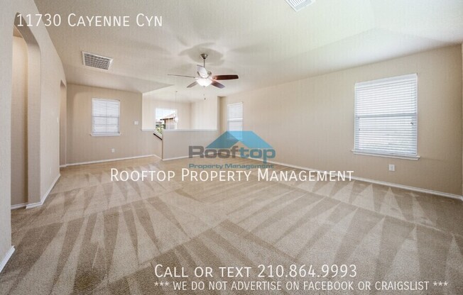 11730 CAYENNE CYN