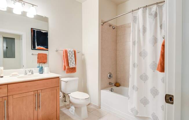 Luxurious Bathroom at 800 Carlyle, Virginia