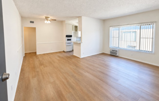 Chandler 14341