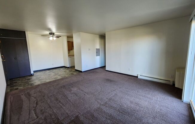 1 bed, 1 bath, 700 sqft, $1,200, Unit 2