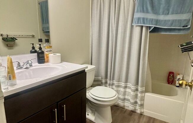 1 bed, 1 bath, 600 sqft, $1,549, Unit 311