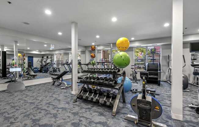 24-Hour Fitness Center at Avant at the Arboretum Apartments in Lisle, IL 60532