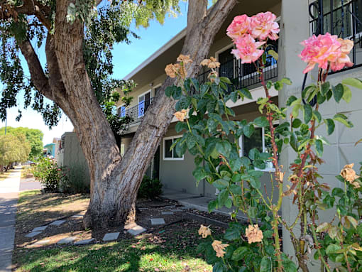 Carmel Plaza Apartments