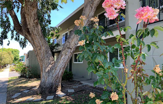 Carmel Plaza Apartments