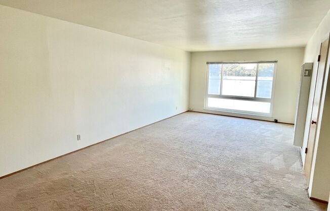 Spacious and Bright 1BR/1BA Top Floor Unit in the Mission!  Laundry! Parking!  PROGRESSIVE