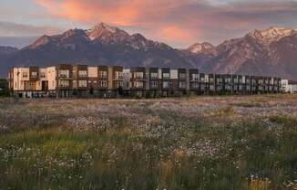 Grassy Field Around Townhomes at  Parc View Apartments and Townhomes Midvale, UT 84047