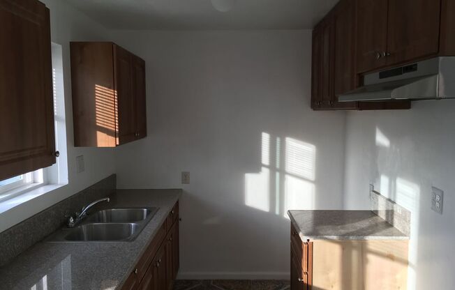 1 bed, 1 bath, 480 sqft, $1,595, Unit 1115