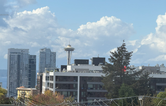 1 bed, 1 bath, 500 sqft, $1,795, Unit 101