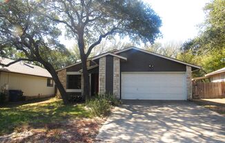 Amazing South Austin home!