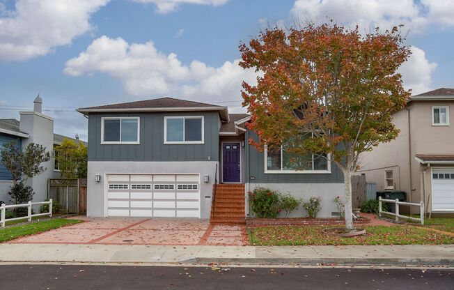 Extensively remodeled 4 Bed / 3 Bath home in South San Francisco. YouTube tour!