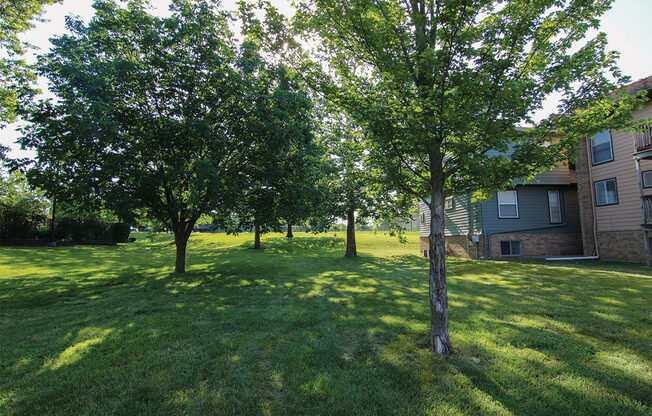Township Lawn