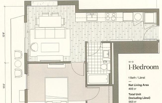 1 bed, 1 bath, 563 sqft, $3,800