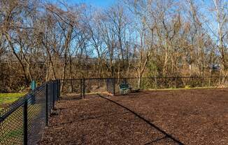 a tennis court with a fence and trees