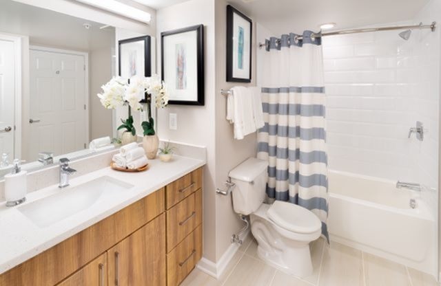 Renovated Bathrooms with Quartz Vanity Tops, Ceramic Tile Surrounds and Lots of Storage Space