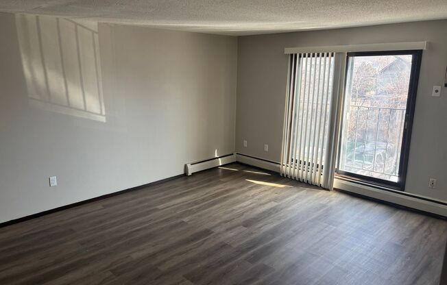 1 bed, 1 bath, $1,250, Unit 314