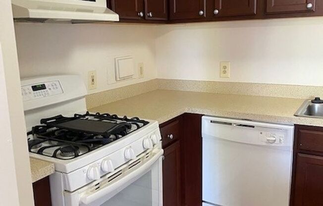 1 bed, 1 bath, 800 sqft, $1,525, Unit 3410 #103