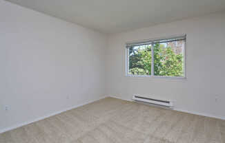 Carpeted Bedroom