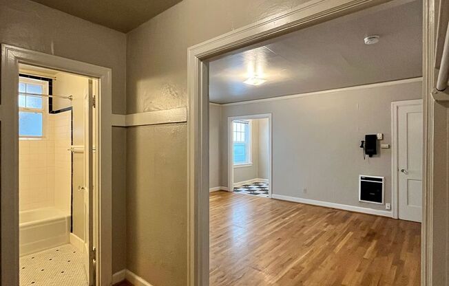 Studio, 1 bath, $1,295, Unit 110