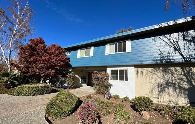 Dry Creek Apartments