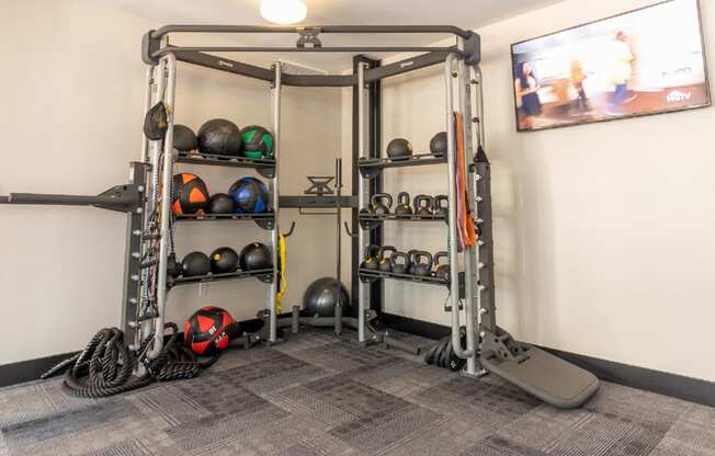 Everyone gets access to the free weights and equipment in our Fitness Center.
