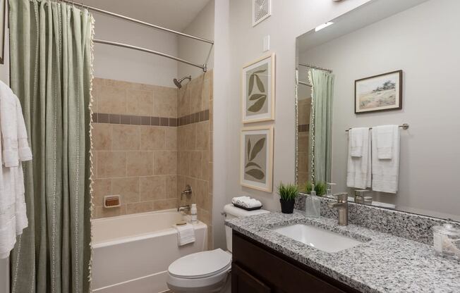 a bathroom with a sink toilet and shower and a tub