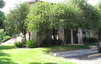 Move In Special! End unit 2 bedroom - Small Pets OK