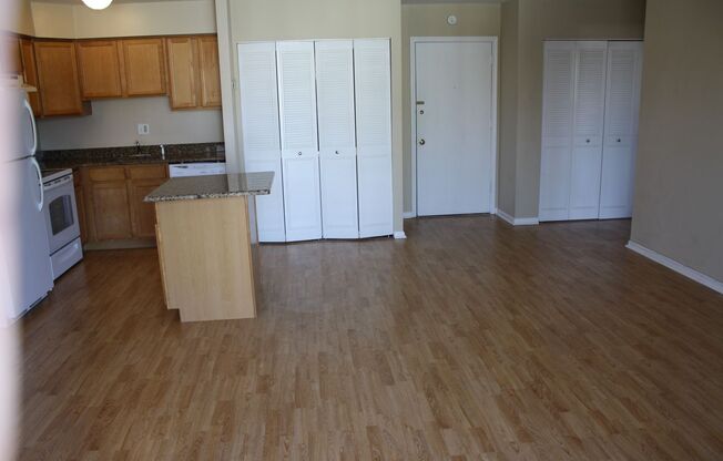 1 bed, 1 bath, $1,895, Unit LL - 313