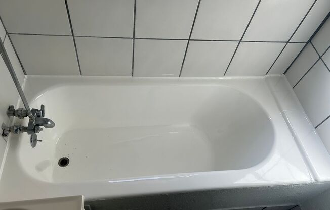 Studio, 1 bath, 510 sqft, $1,595, Unit 206