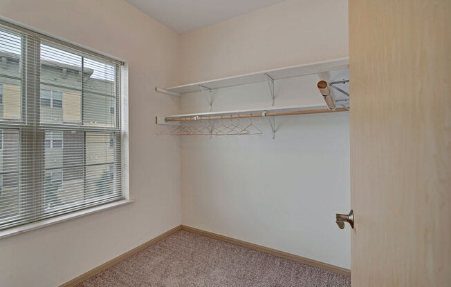 A spacious closet here at Swan Creek with soft carpet, bright window, and built-in shelves and hanging rods, creating a clean, practical, and organized storage space filled with natural light.
