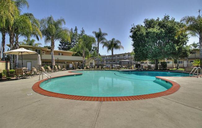 blue swimming pool with lounge chairs  at The Arbors at Mountain View, Mountain View, California