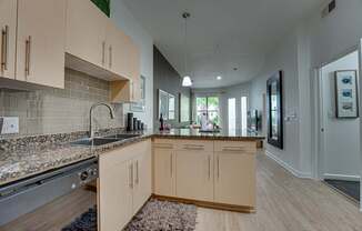 Kitchen Cabinets at Vue Fitzhugh, Dallas, TX