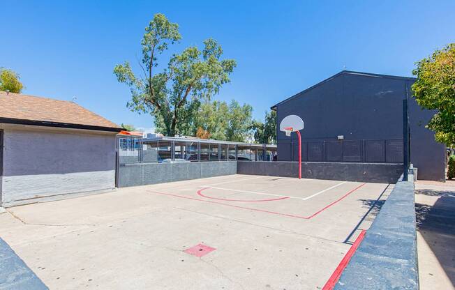 A basketball court with a red line on the ground and a basketball hoop on the right side.