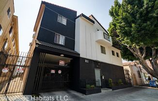 311 S. New Hampshire- fully renovated unit in Koreatown