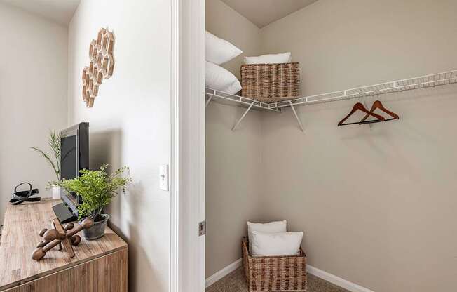 A room with a TV, plant, and a wooden box on a table.