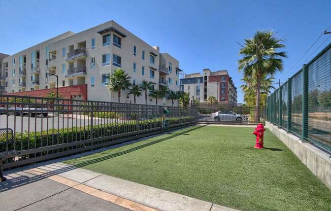 Pet-Friendly Community with Dog Park at Boardwalk by Windsor, 7461 Edinger Ave., CA