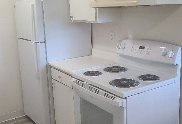 1 bed, 1 bath, 570 sqft, $1,025