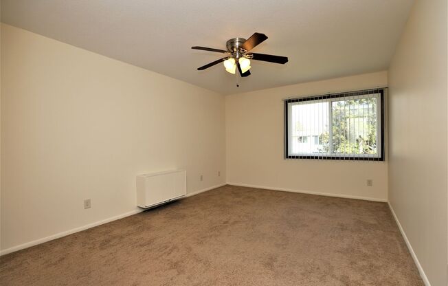 Studio, 1 bath, 600 sqft, $1,025