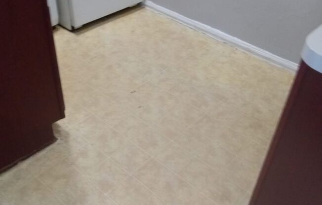 Studio, 1 bath, 400 sqft, $1,200, Unit 1006