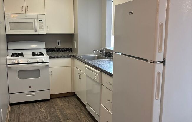 Studio, 1 bath, 400 sqft, $1,200, Unit 203A