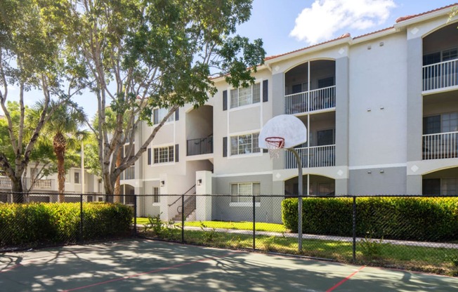 Basketball court