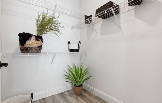 a corner of a closet with white walls and a plant on a shelf