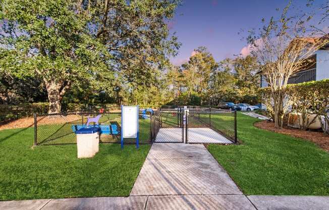 a dog park with a chain link fence and a dog playground