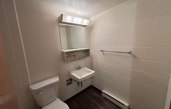 Studio, 1 bath, 500 sqft, $650, Unit 215