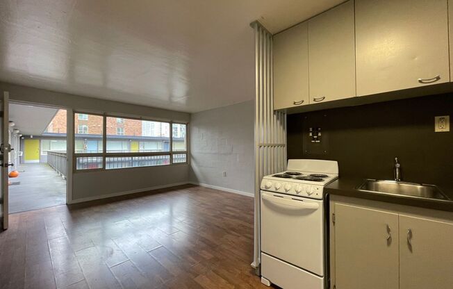 1 bed, 1 bath, 393 sqft, $1,150, Unit 305