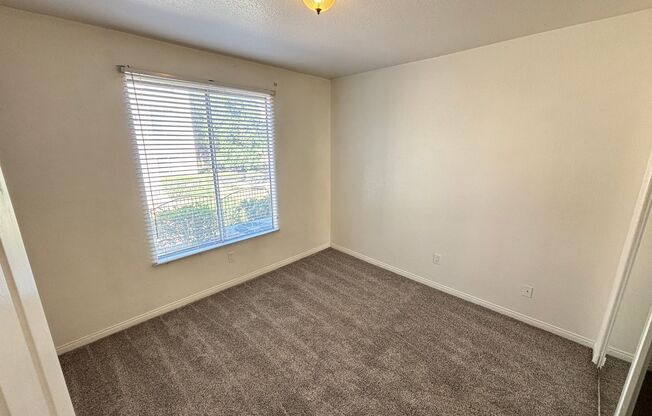 1 bed, 1 bath, $1,095