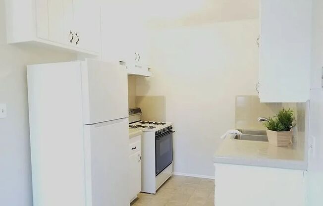 Cypress Street Apts