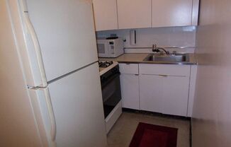 Studio, 1 bath, $1,595