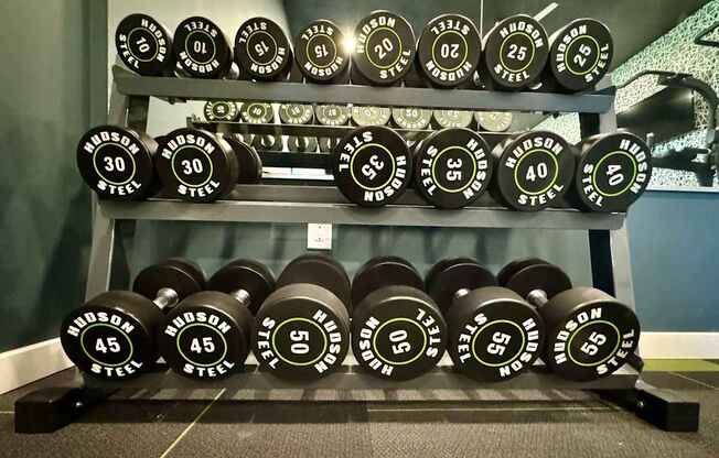 A set of Nautilus dumbbells are arranged on a rack.